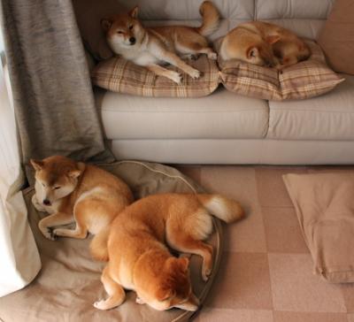 球场“绝美配合”：默契十足的团队协作秀，球场搭配