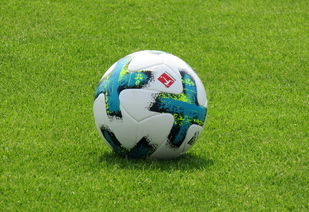 爱游戏在线-德甲防守战术转变对定位球防守效果的影响分析，德国足球防守大师