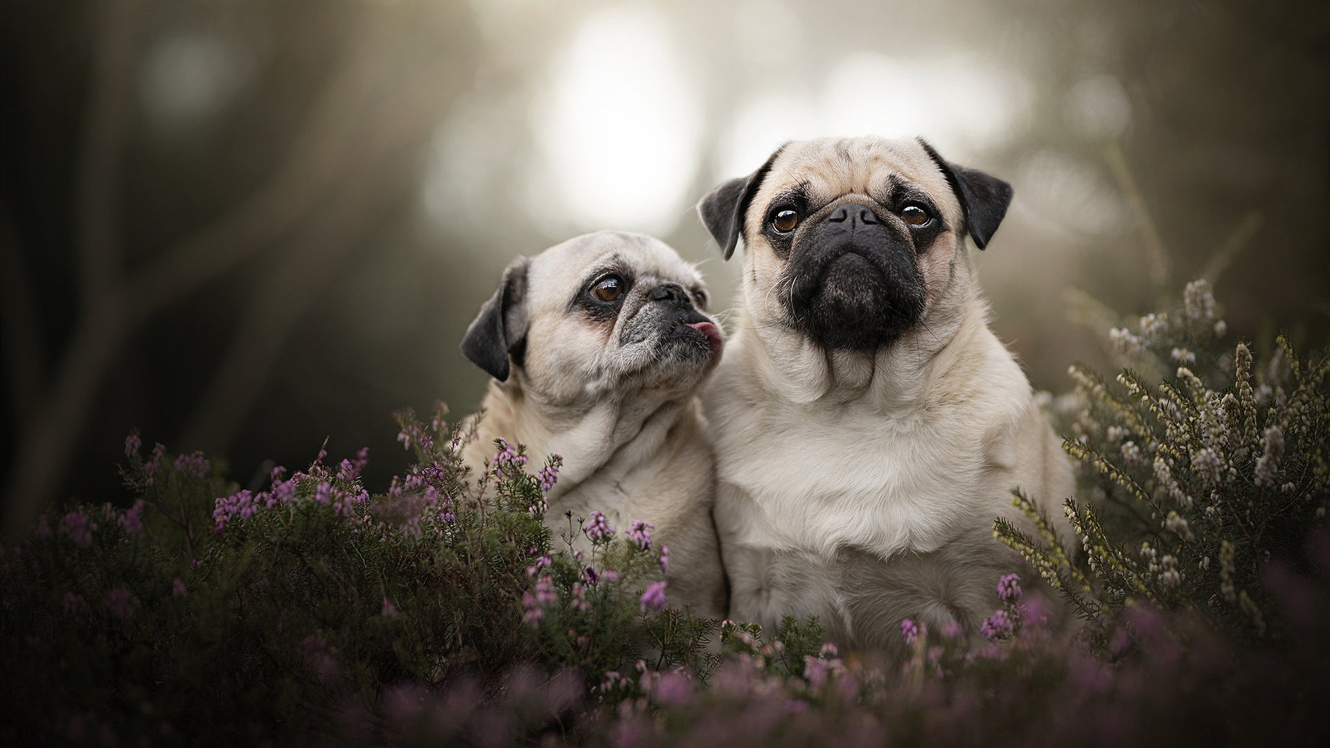 中国三人篮球女队展现卓越防守能力,中国三人篮球女篮