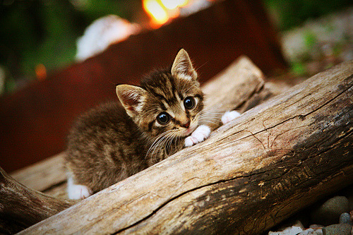 全民健身运动深入社区激发活力,社区全民健身项目