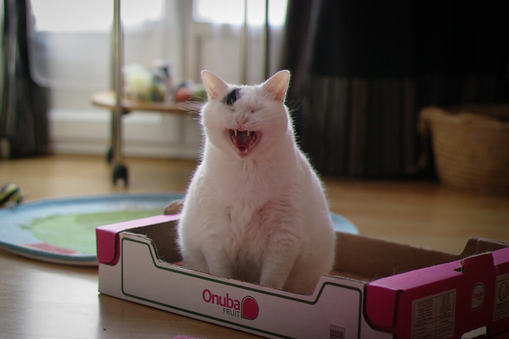 国际热身赛中国足球夺冠 球员精神令人敬佩，国足热身赛赢过哪些强队